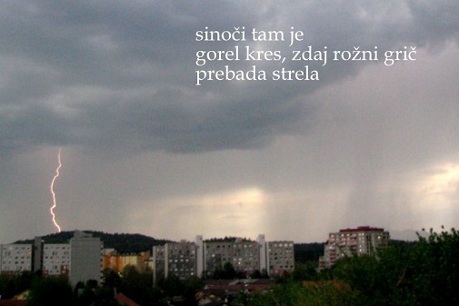 Alenka Zorman: Vonj čemaža